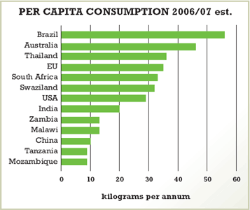 Per capita Sugar's consumption